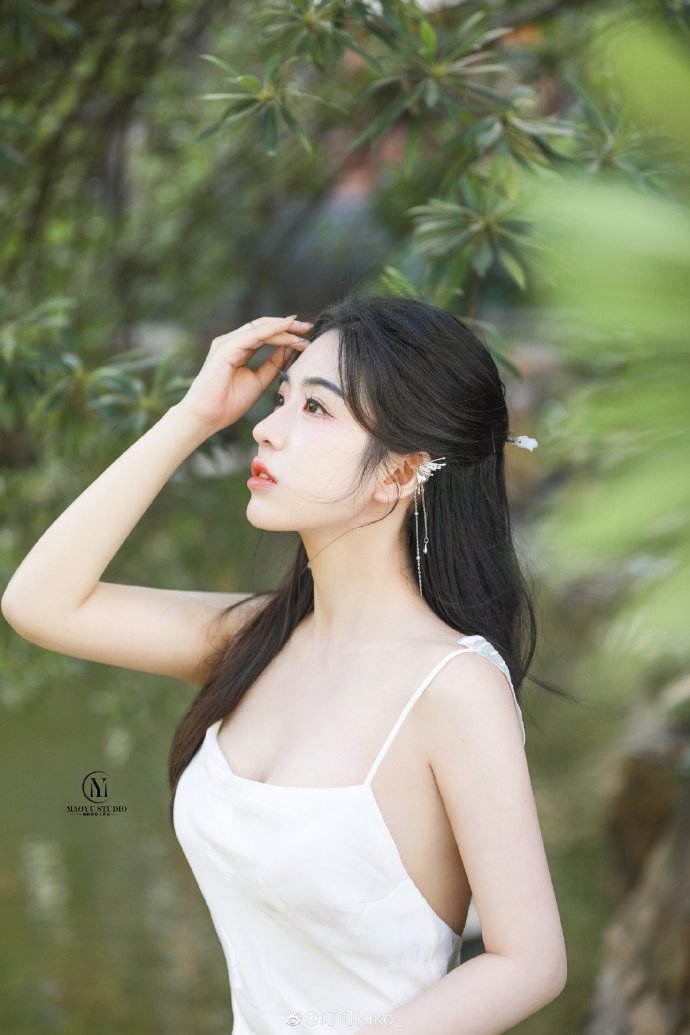 王国：亚辛传 封面